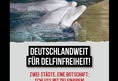 Freedom for dolphins and whales