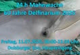 Freedom for dolphins and whales
