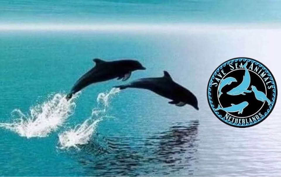 SAVE SEA Animals