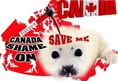SAVE SEA Animals