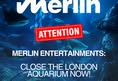 Dolphin Freedom