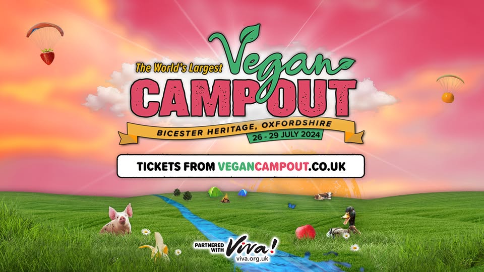 Vegan Camp Out