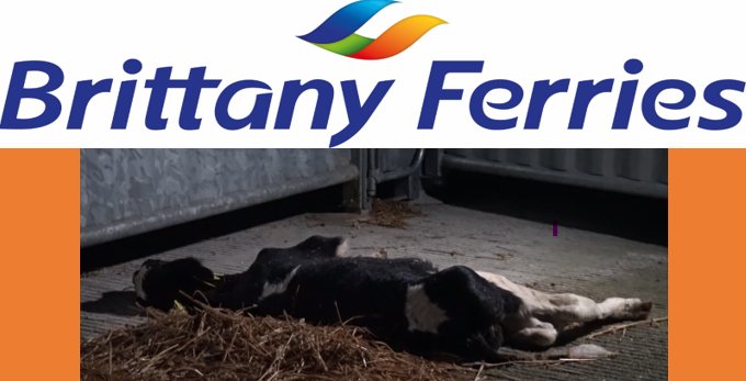 Ethical Farming Ireland