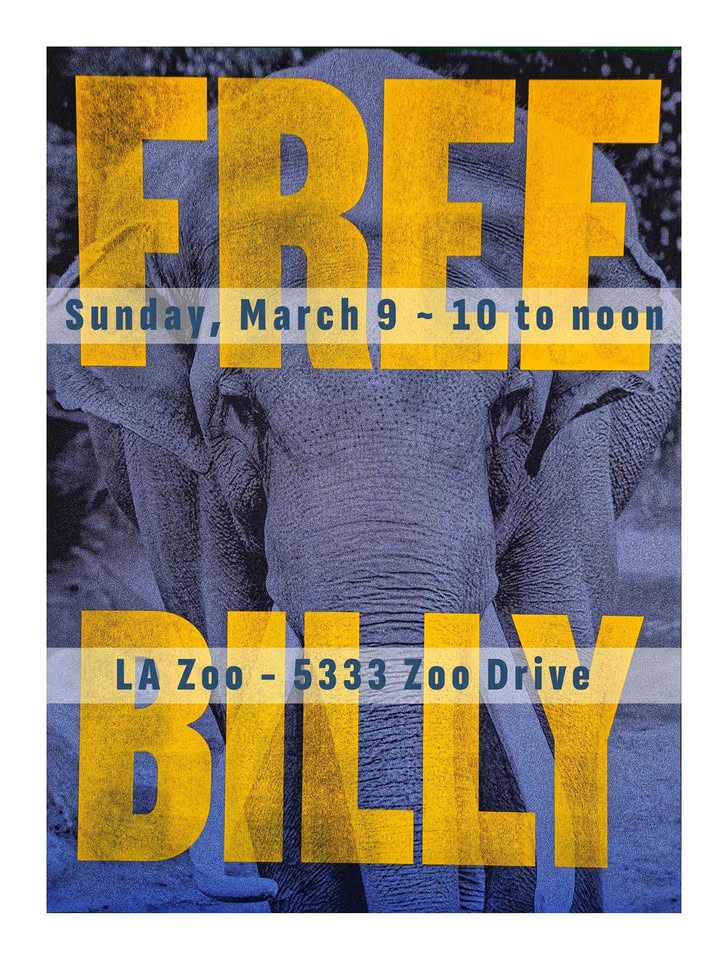 Los Angeles For Animals