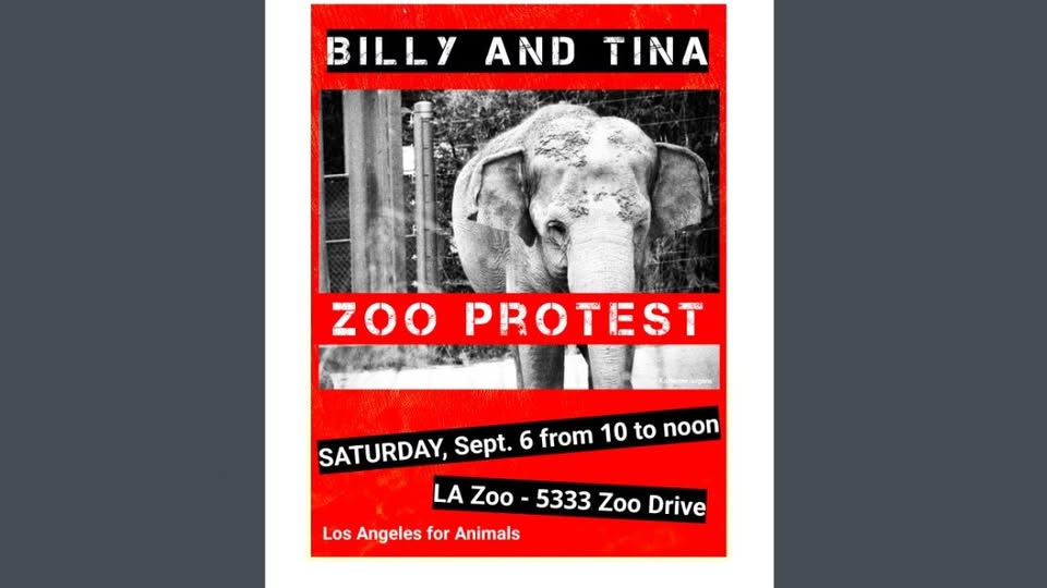 Los Angeles For Animals