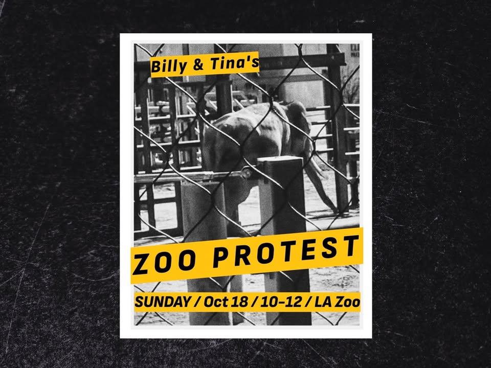Los Angeles For Animals