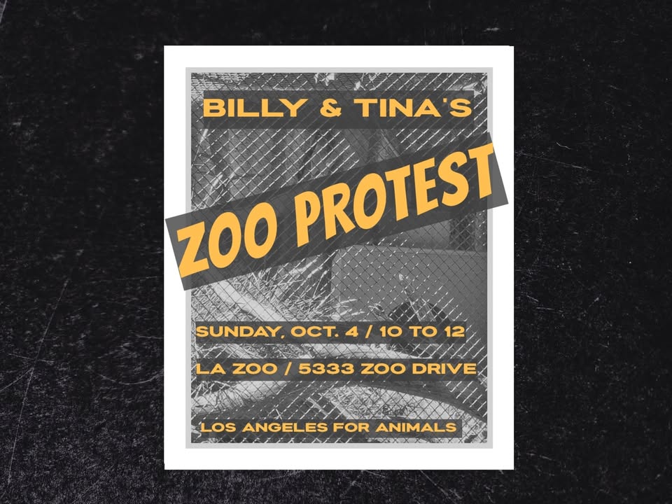 Los Angeles For Animals