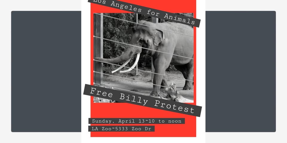 Los Angeles For Animals