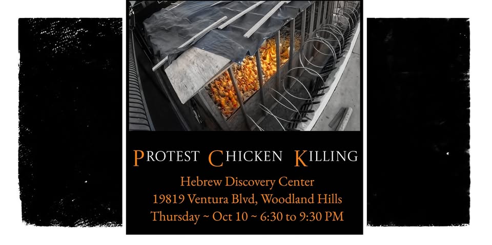 Los Angeles For Animals