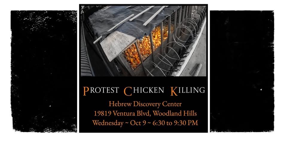 Los Angeles For Animals