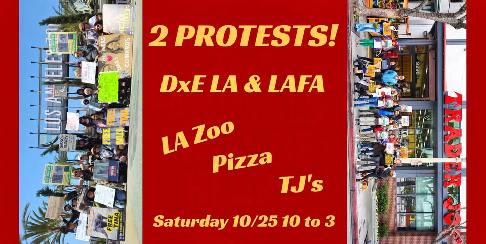 Los Angeles For Animals