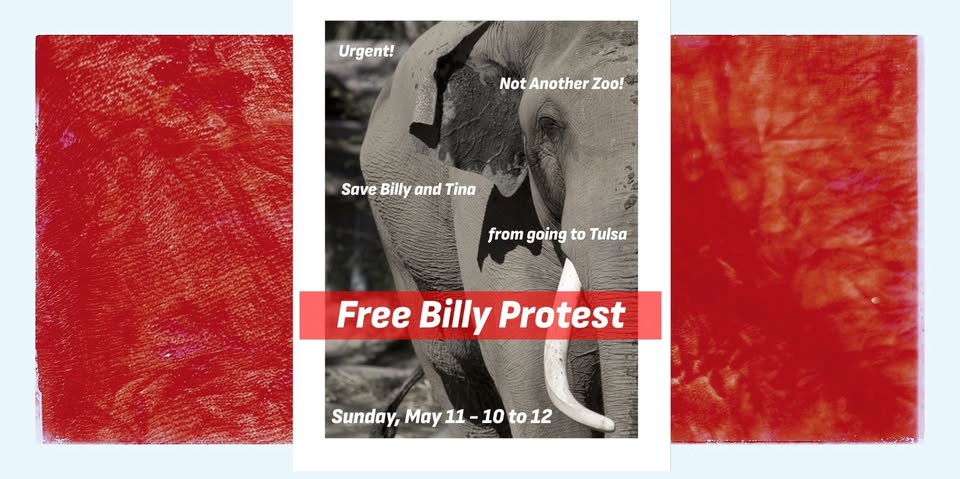 Los Angeles For Animals