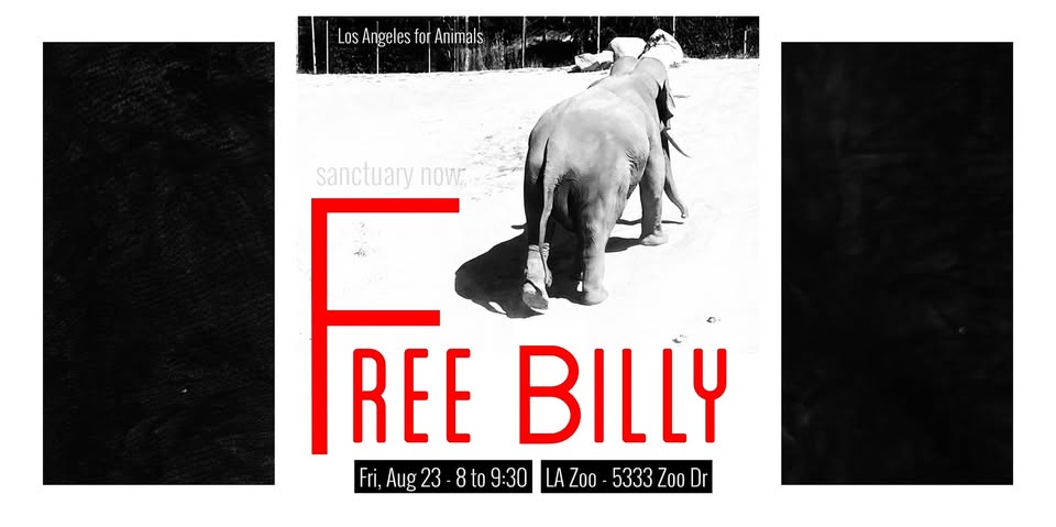 Los Angeles For Animals