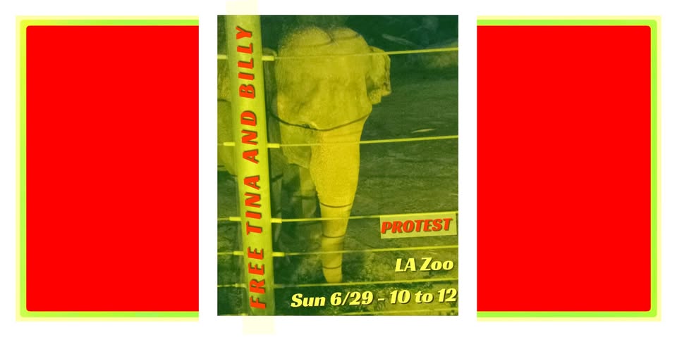 Los Angeles For Animals