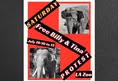 Los Angeles For Animals
