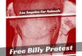 Los Angeles For Animals