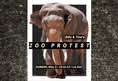 Los Angeles For Animals