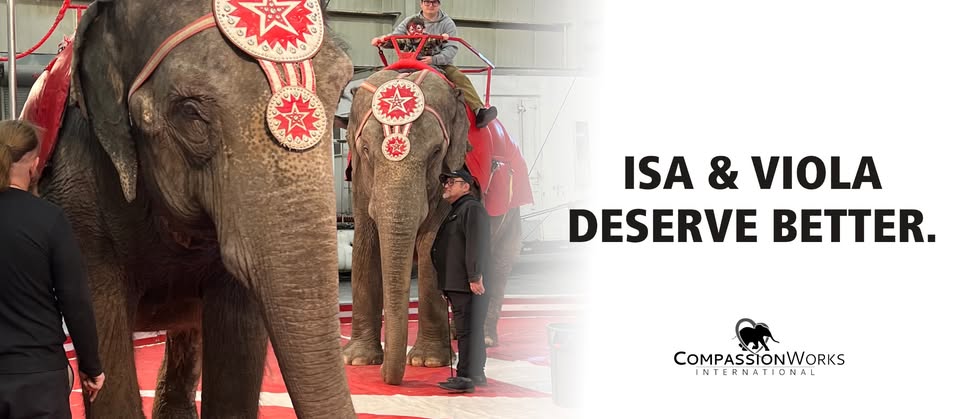 CompassionWorks International