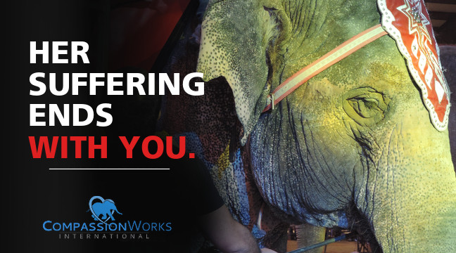 CompassionWorks International