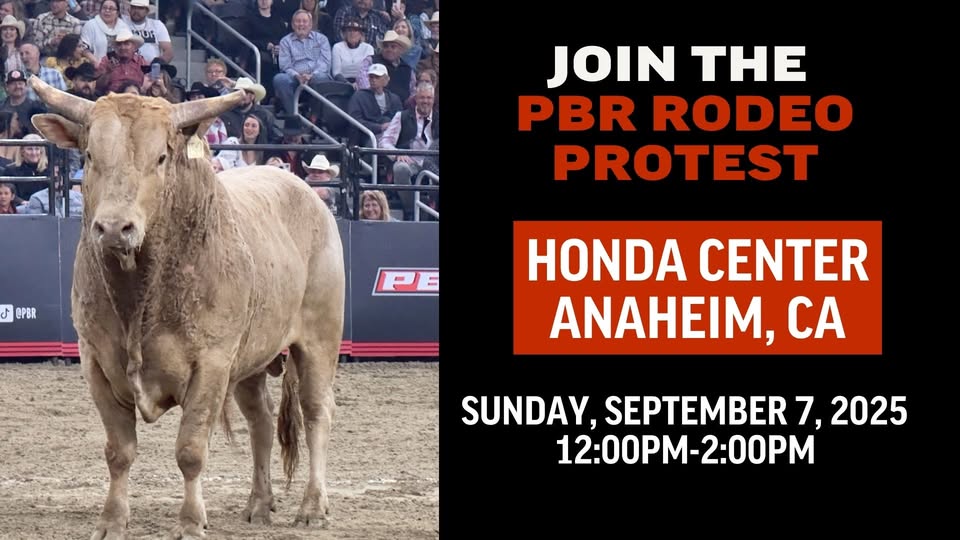 Los Angeles Animal Defense League