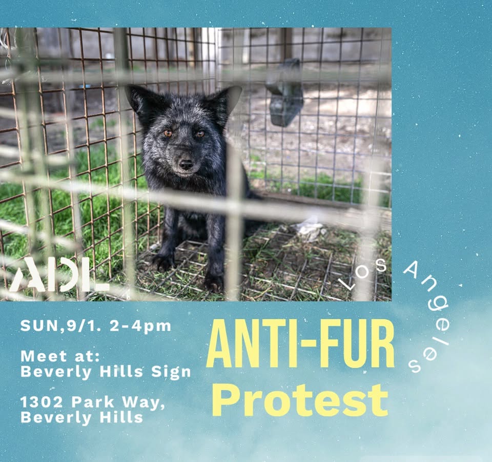 Los Angeles Animal Defense League