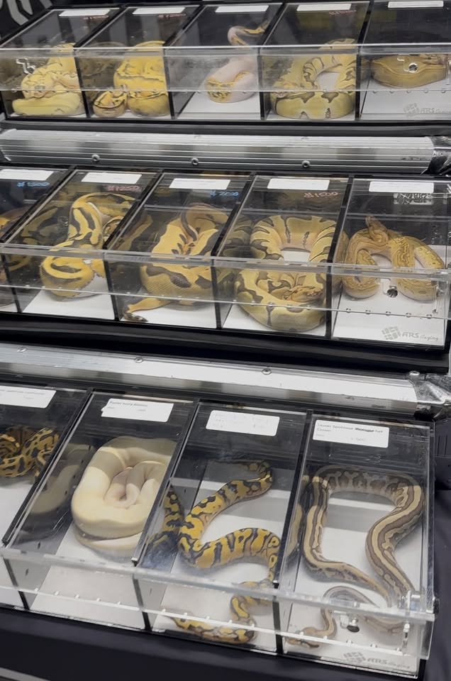 Los Angeles Animal Defense League