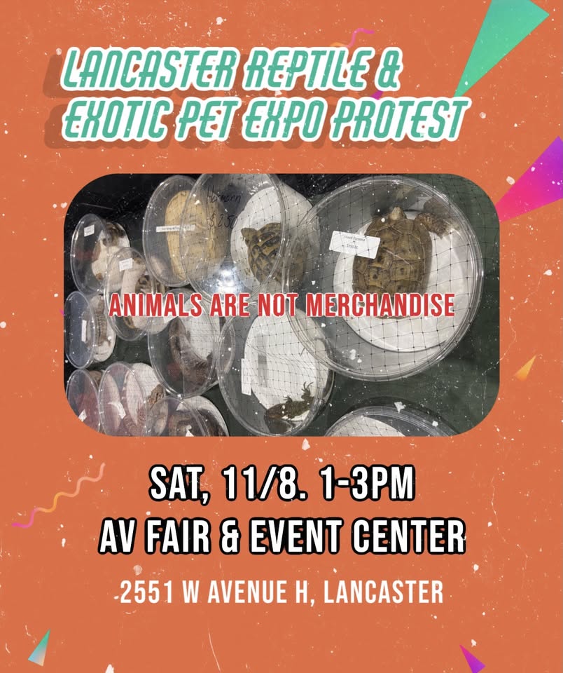 Los Angeles Animal Defense League