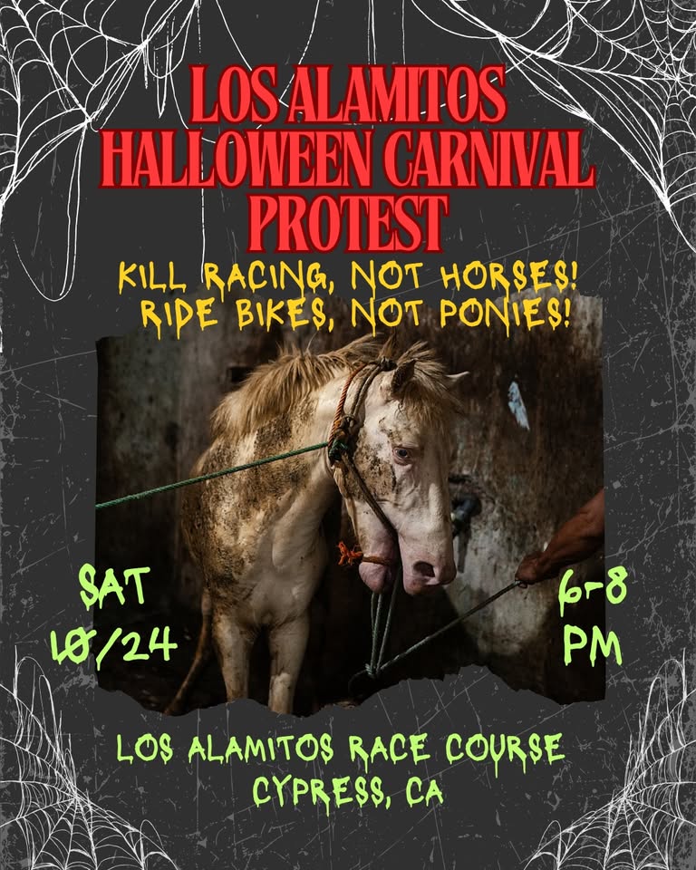 Los Angeles Animal Defense League