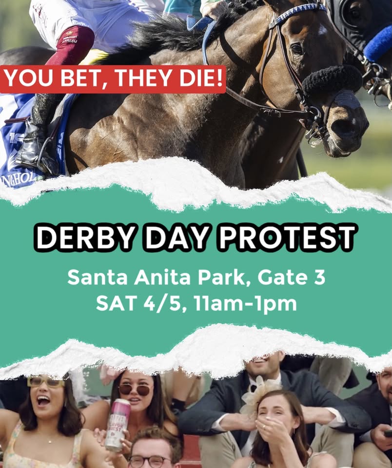 Los Angeles Animal Defense League
