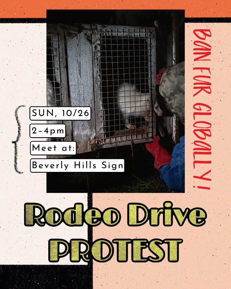 Los Angeles Animal Defense League