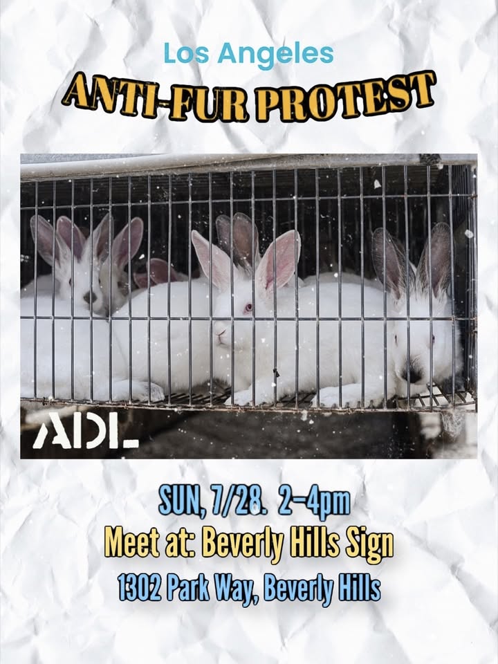 Los Angeles Animal Defense League