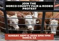 Los Angeles Animal Defense League