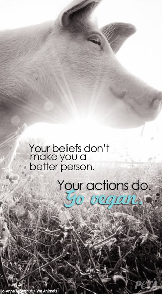 Orange County Animal Liberation