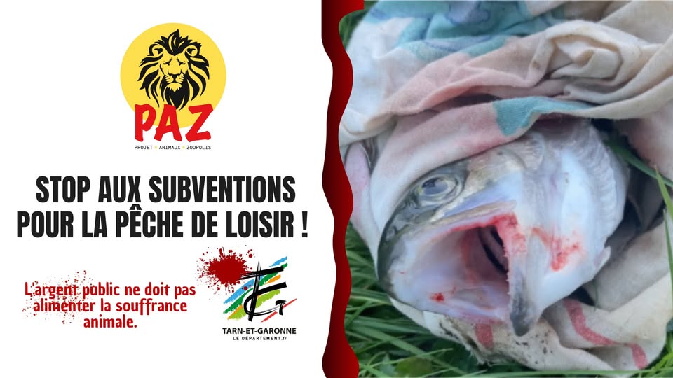PAZ