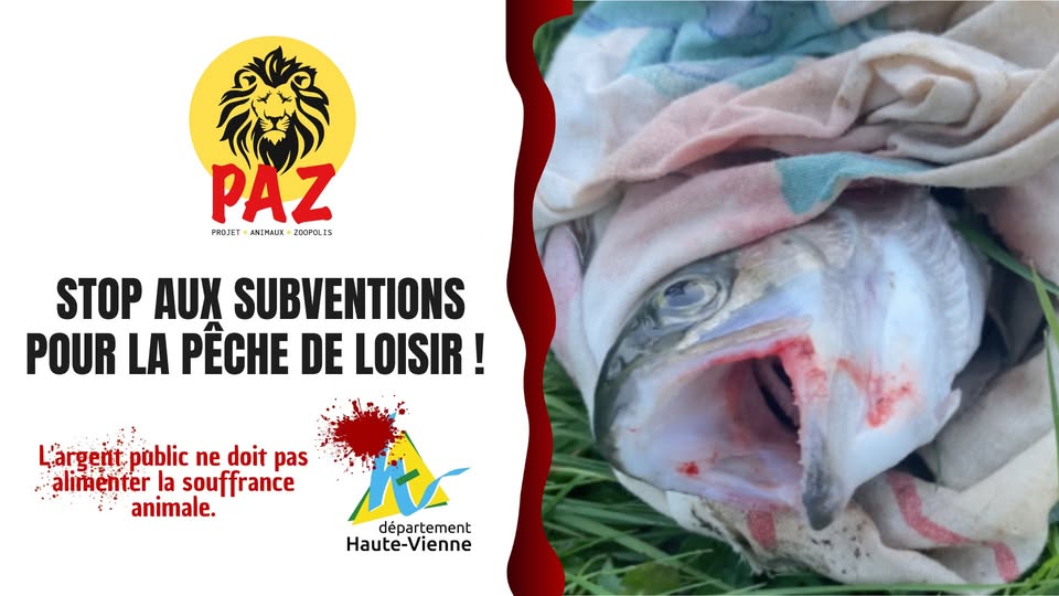 PAZ