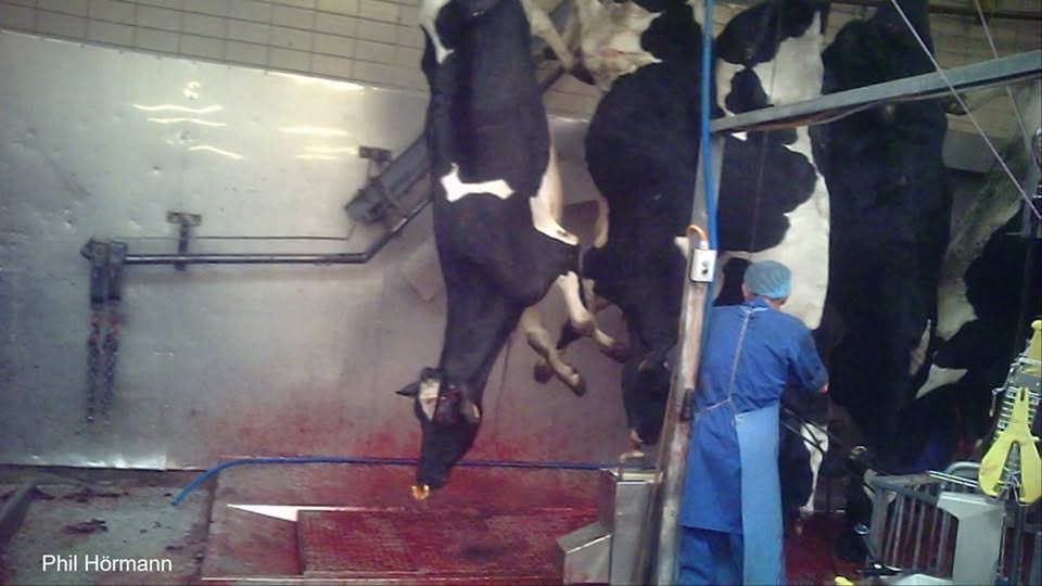 Tierrechte Franken