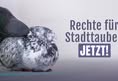 Animal Rights March Switzerland