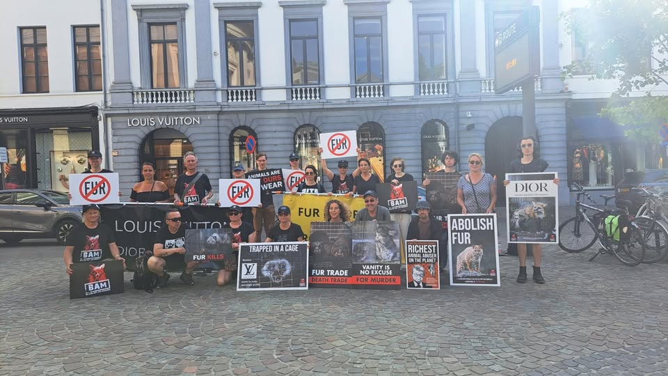 Belgian Anti-fur Movement