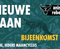 Animal Rebellion NL