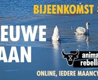 Animal Rebellion NL