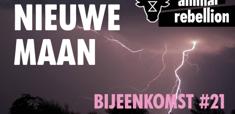 Animal Rebellion NL