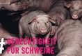Menschen für Tierrechte e.V.