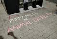 North Carolina Animal Advocates United - NCAAU