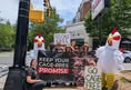 North Carolina Animal Advocates United - NCAAU