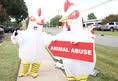 North Carolina Animal Advocates United - NCAAU