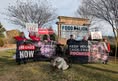 North Carolina Animal Advocates United - NCAAU