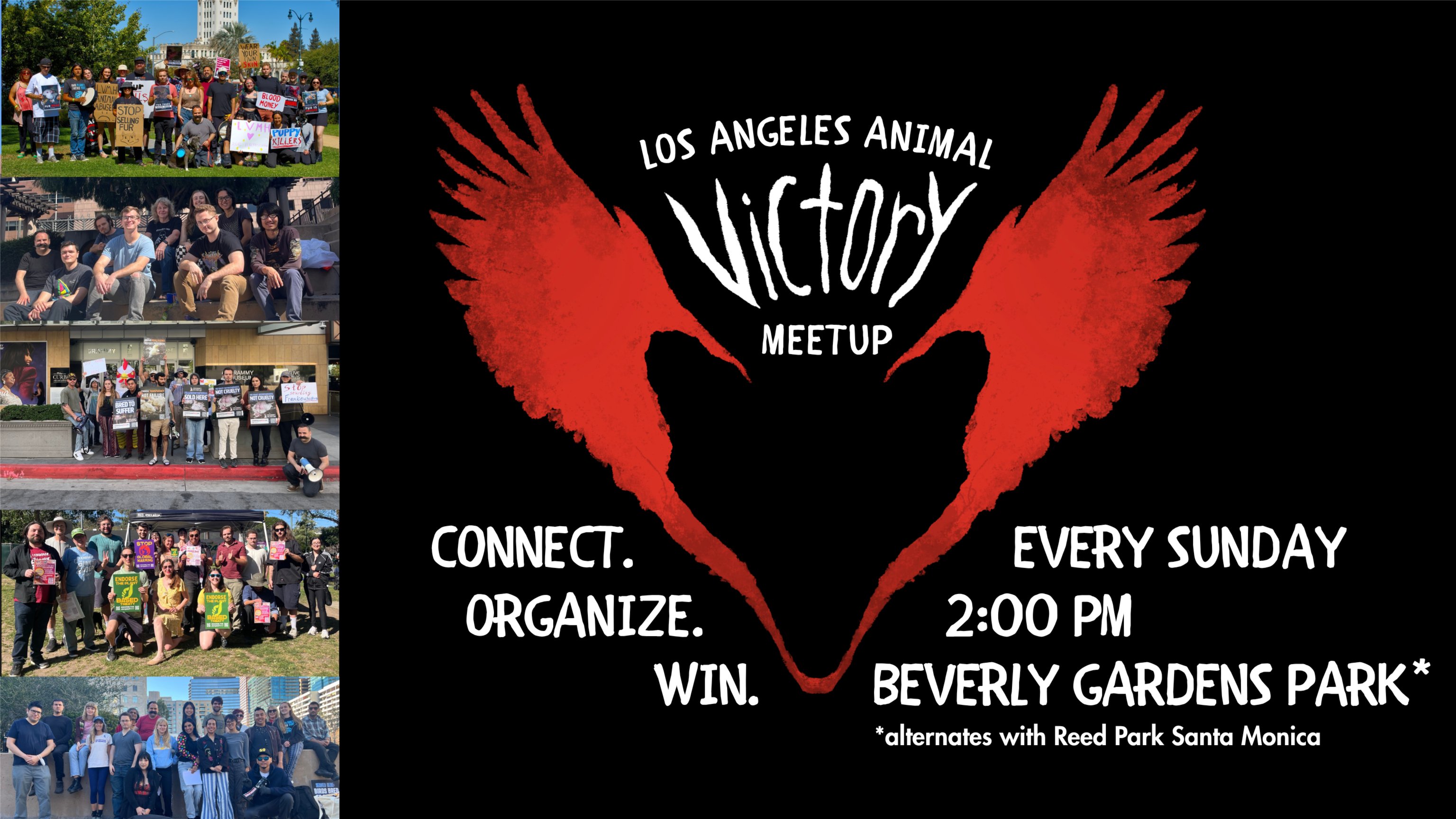 Los Angeles Animal Victory Meetup