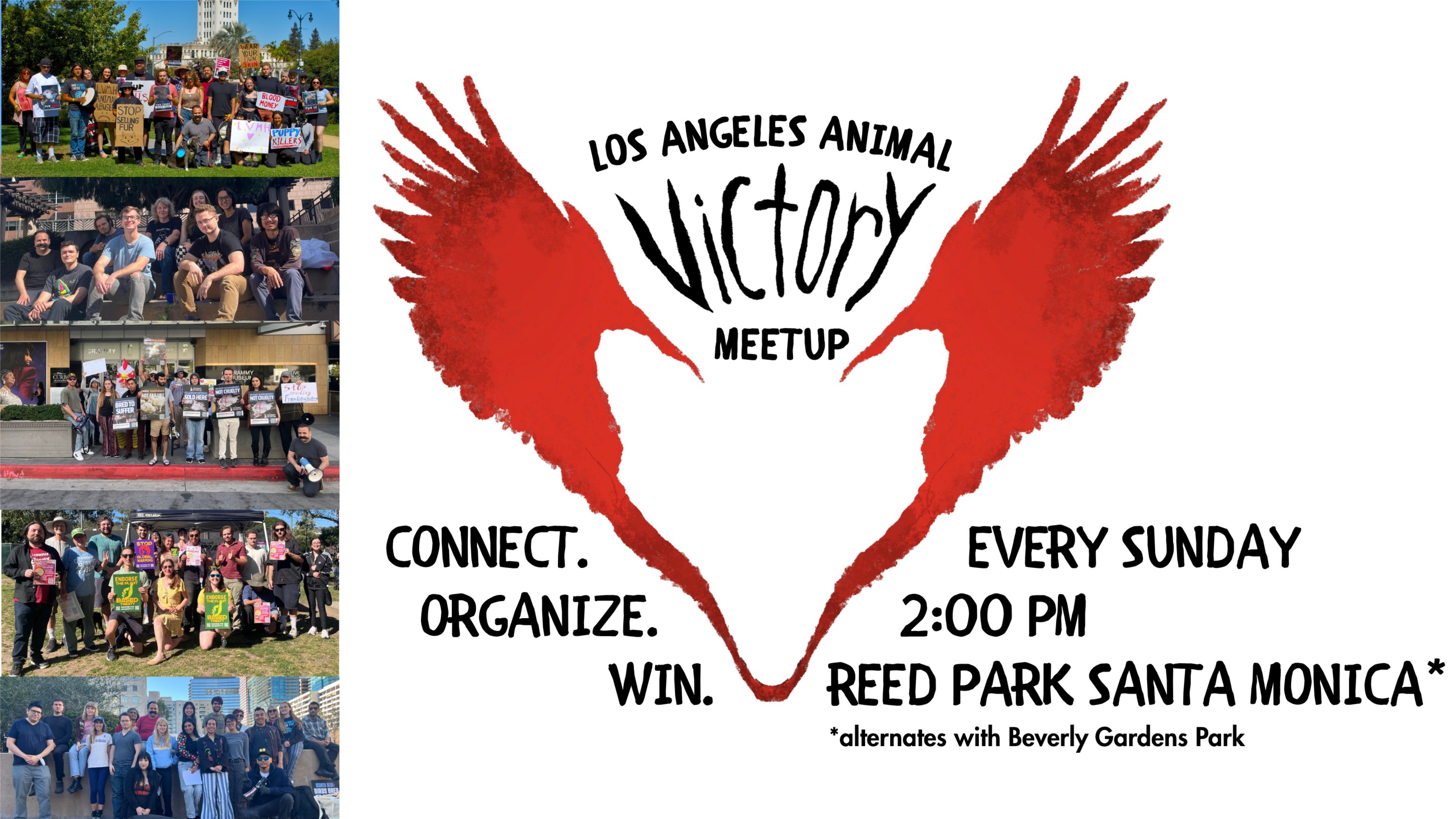 Los Angeles Animal Victory Meetup
