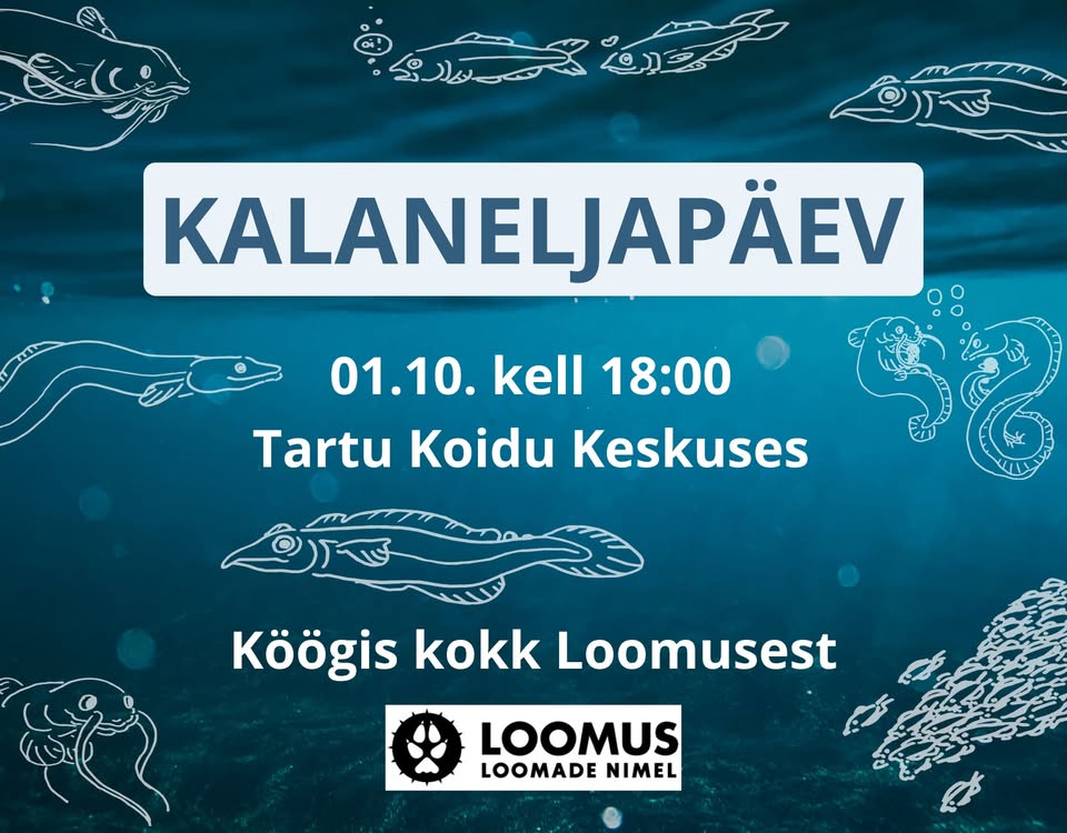 Loomus
