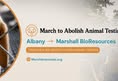 March for Animals